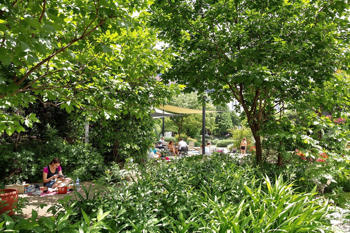 40 % des jardins urbains manquent d'ombre, selon un rapport sur l'aménagement paysager publié en mai 2025.jpg