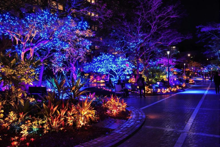 Les plantes bioluminescentes révolutionnent l'éclairage urbain durable en 2025 grâce à des avancées biotechnologiques..jpg