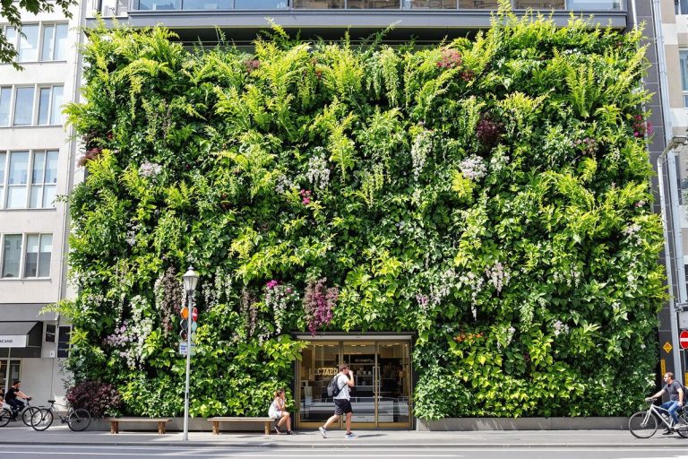 L'essor des jardins verticaux en 2025 : une solution pour maximiser l'espace dans les zones urbaines.jpg