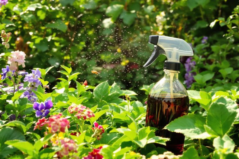 Moucherons dans le jardin ? Cette astuce au savon noir les élimine pour de bon.jpg