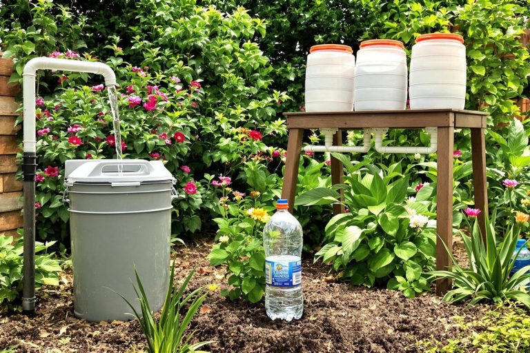 Plus de sécheresse au jardin : ces 3 systèmes d’arrosage DIY se fabriquent avec vos déchets.jpg