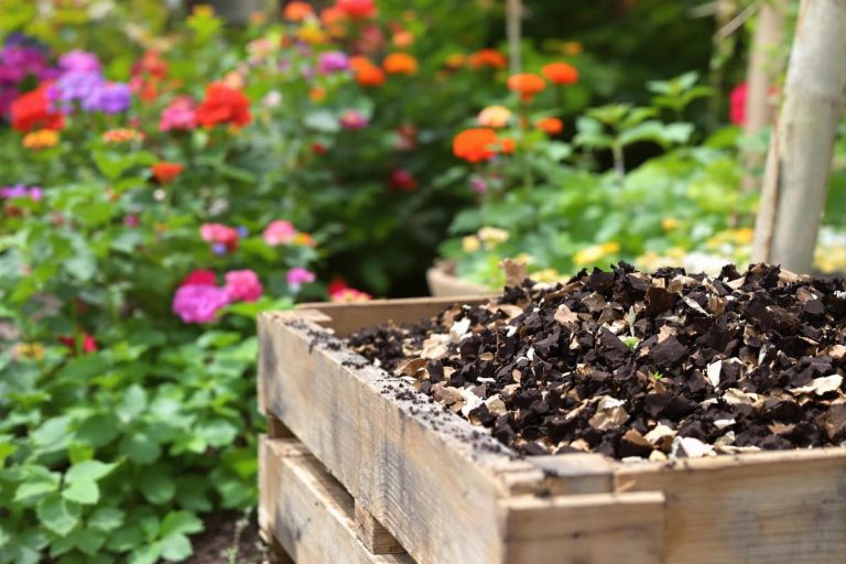 Ce que vous jetez peut tout changer : le compost, secret (trop) méconnu des jardiniers.jpg