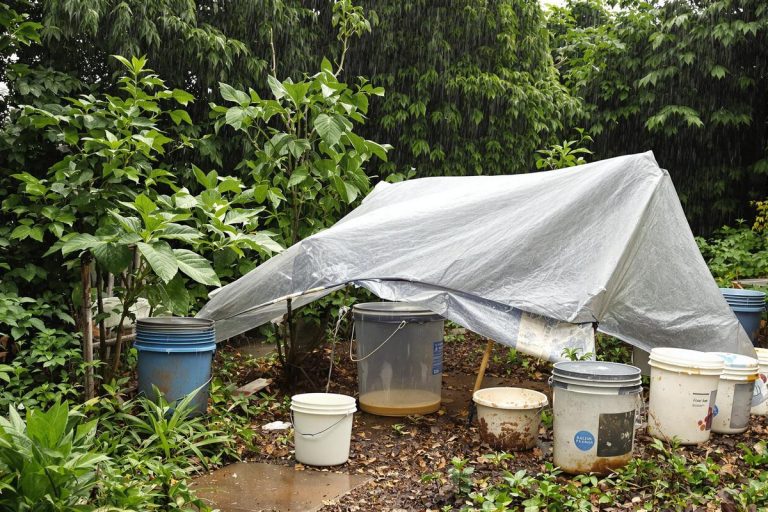 Comment récupérer l’eau de pluie sans récupérateur : système de fortune et astuces simples.jpg