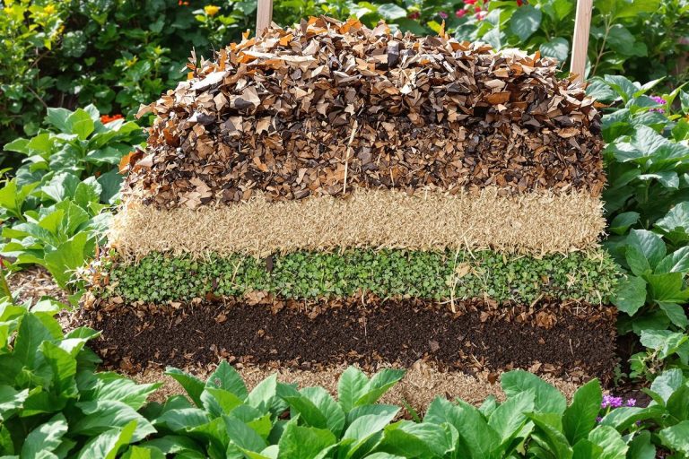 Compostage lasagne : la méthode paresseuse qui donne un sol ultra-fertile.jpg