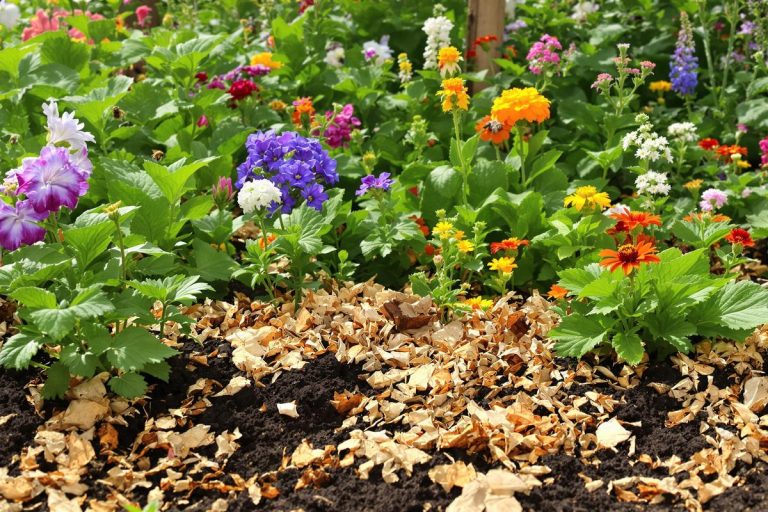 J’ai découvert une méthode de compostage qui rend fou tous les jardiniers !.jpg
