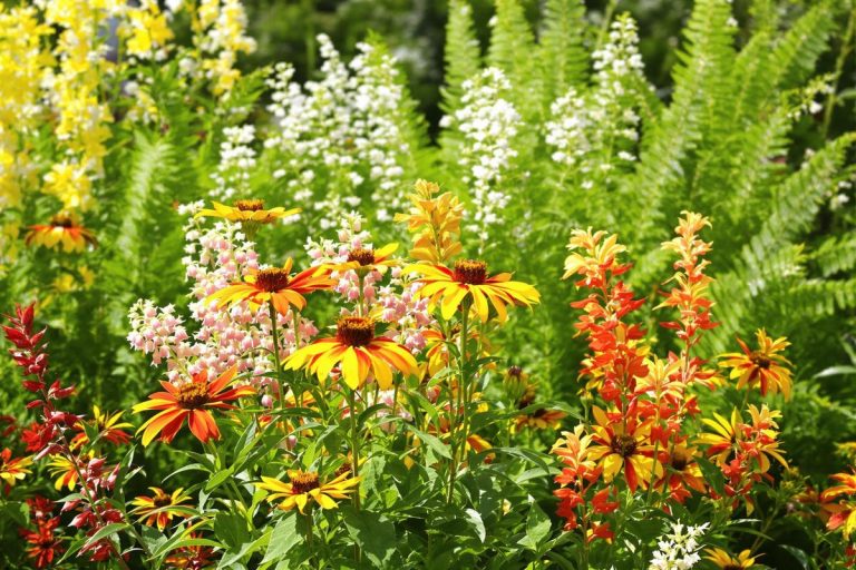 Marre d’arroser ? 3 plantes magiques transforment votre jardin sans une goutte d’eau.jpg