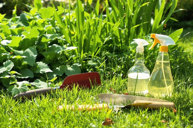 Mon astuce la plus efficace pour éliminer naturellement les mauvaises herbes de ma pelouse.jpg