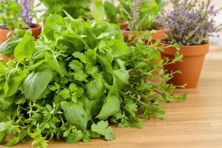 Ces 10 plantes aromatiques ont transformé ma cuisine (et poussent même à l’intérieur).jpg